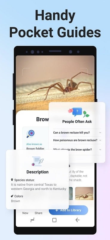 Picture Insect Bug Identifier mod android