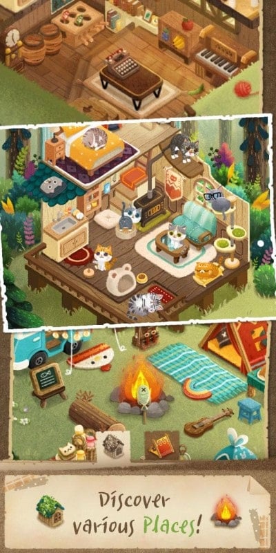 Secret Cat Forest apk