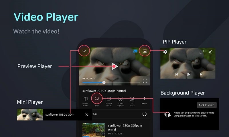 FX Player mod apk