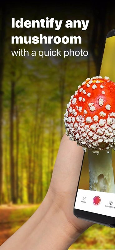 Picture Mushroom mod