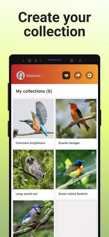 Picture Bird apk free