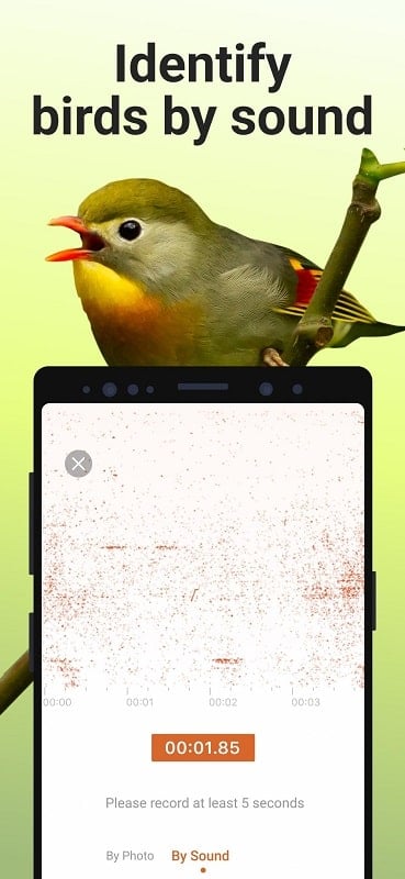 Picture Bird apk