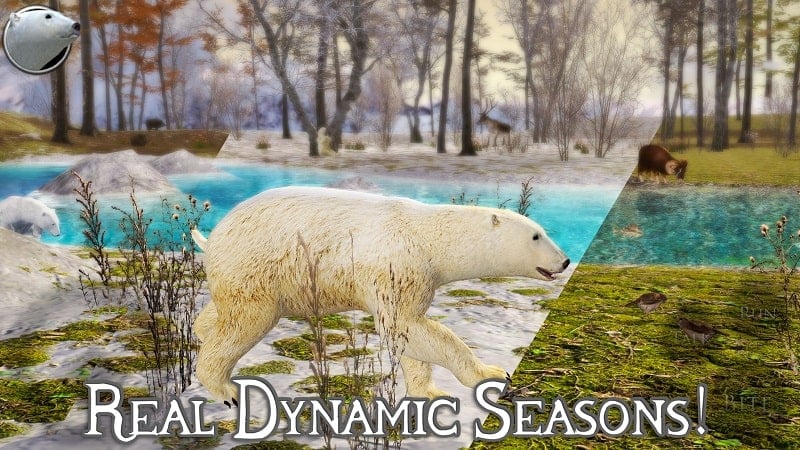 Polar Bear Simulator 2 mod