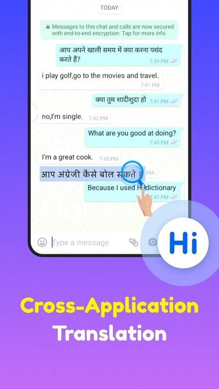 Hi Dictionary mod 