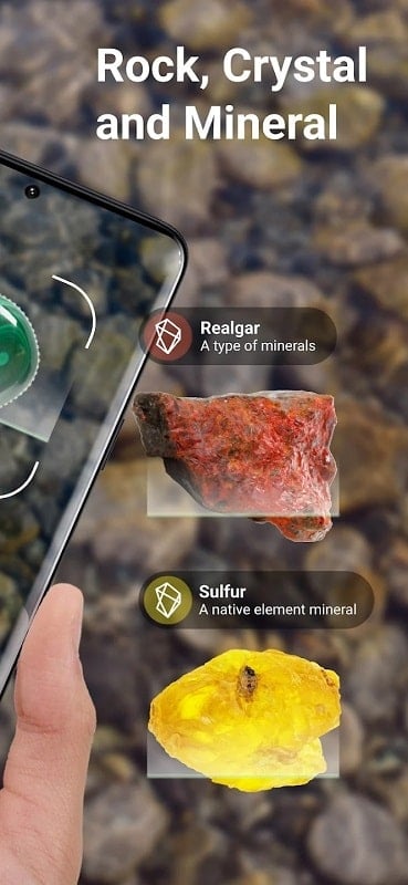 Rock Identifier Stone ID mod apk 