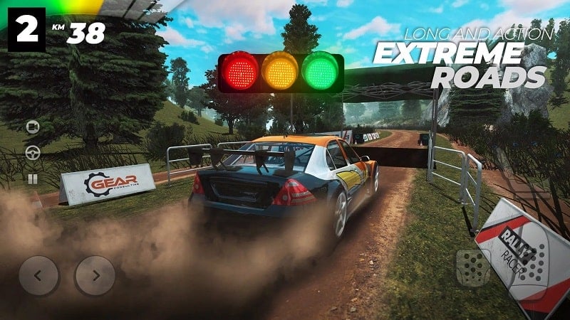 Real Rally apk