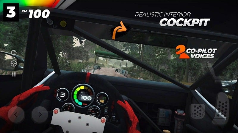 Real Rally mod apk