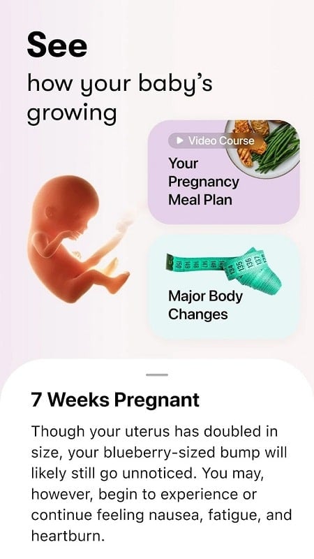 Flo Period Pregnancy Tracker mod apk 