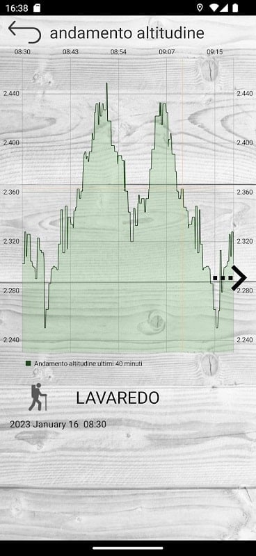 Altimetro professionale mod free