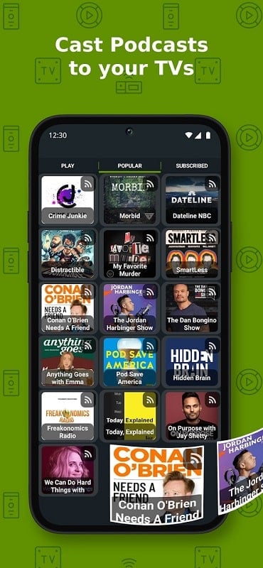 Cast to TV Chromecast Roku TV mod apk free 