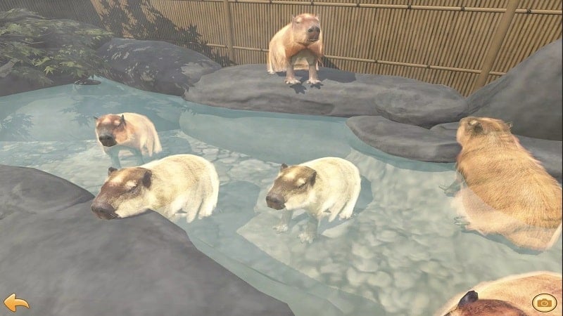 Capybara Zoo mod apk