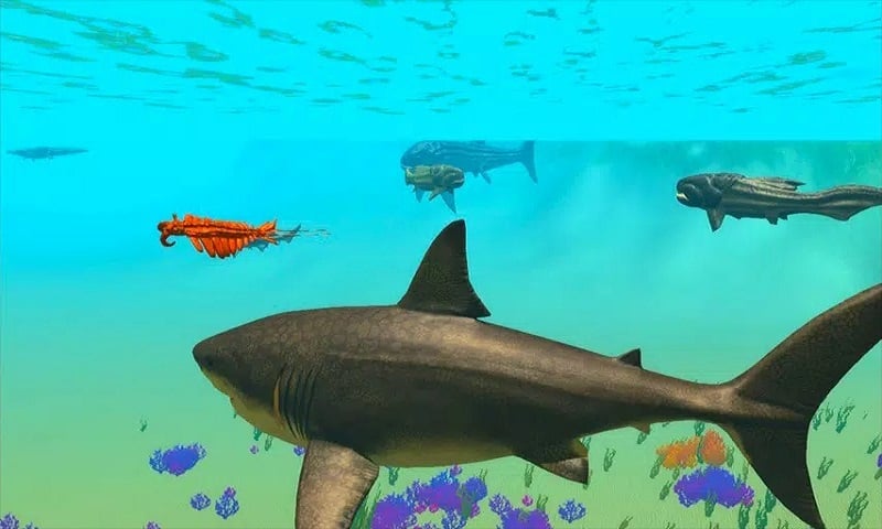 Megalodon Simulator android 1