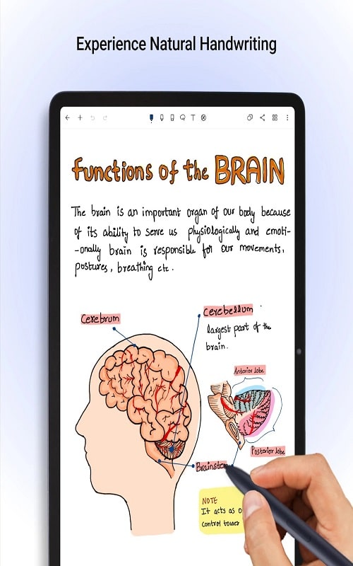 Noteshelf mod 