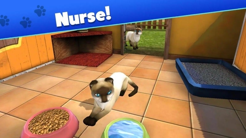 Pet World mod apk