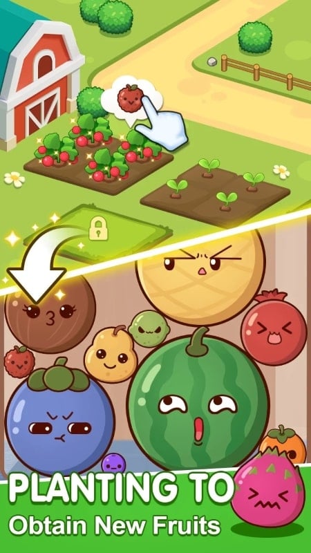 Fruit Drop apk