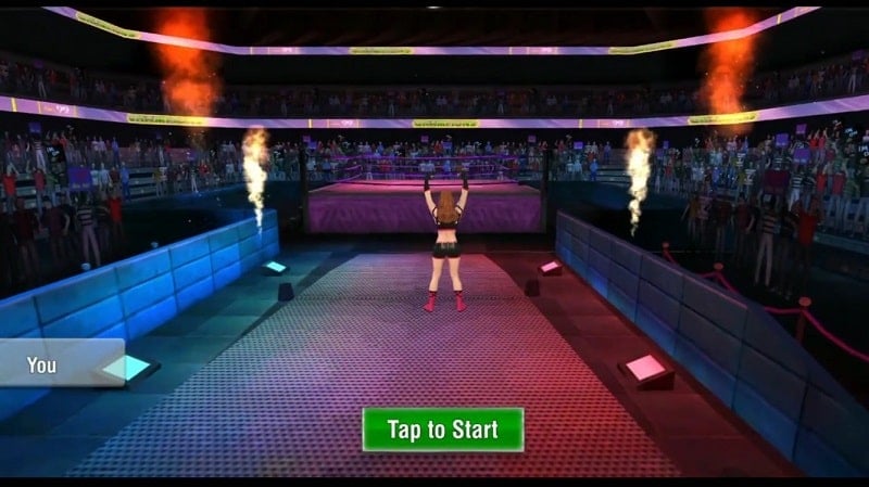 Bad Girls Wrestling Fighter mod