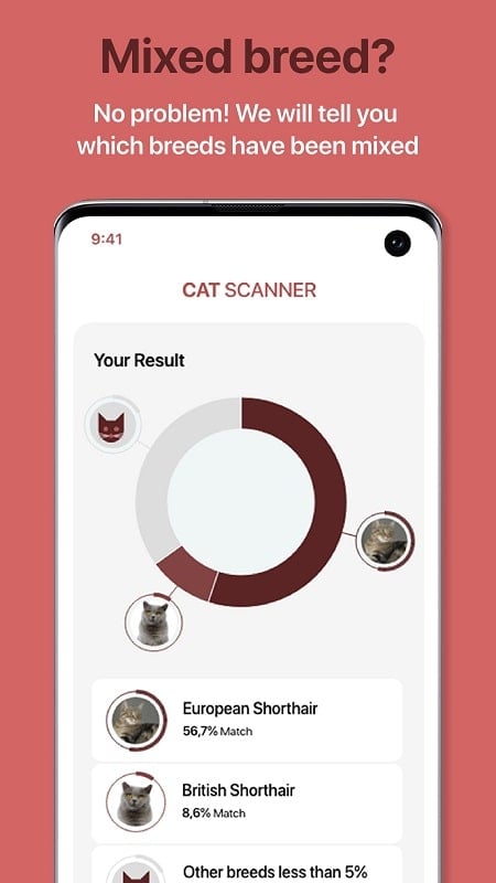 Cat Scanner mod