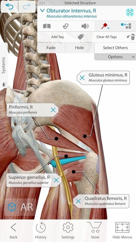 Human Anatomy Atlas 2021 mod apk