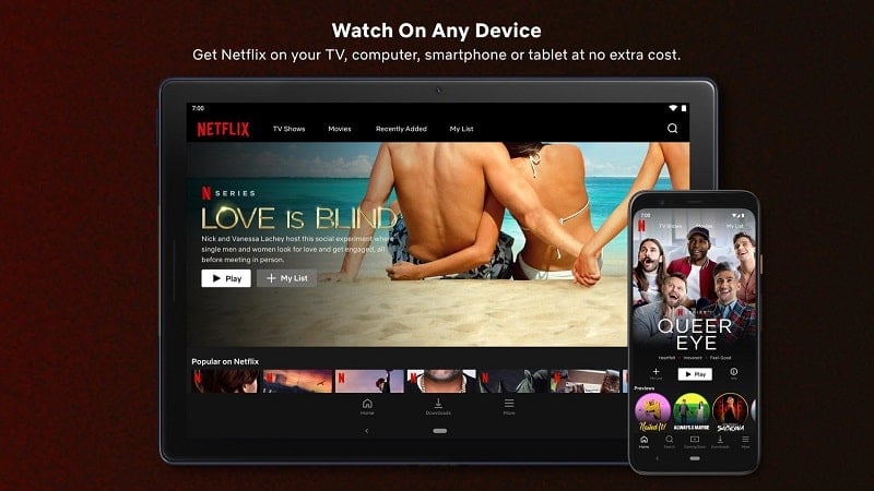 Netflix MOD