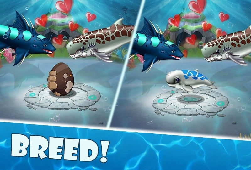 Shark World mod apk free