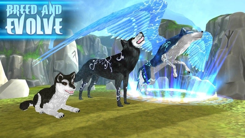 Wolf The Evolution mod apk free