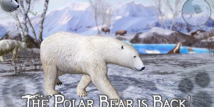 Polar Bear Simulator 2