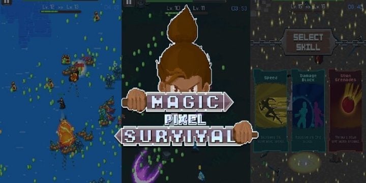 Magic Pixel Survival