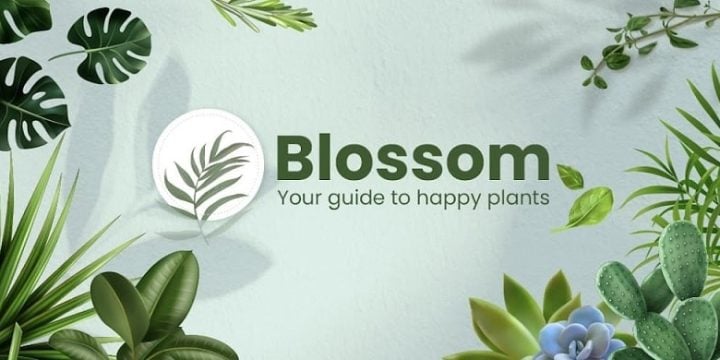 Blossom-