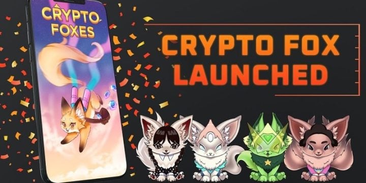 Crypto Fox