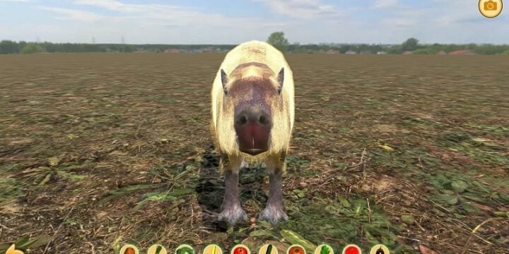 Capybara Zoo