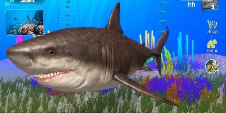 Megalodon Simulator 1