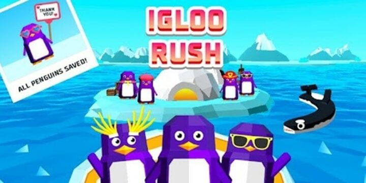 Igloo Rush