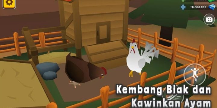 Aku si JURAGAN AYAM