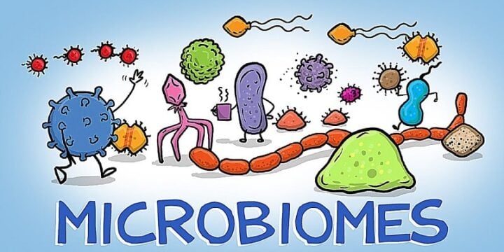 World of Microbes