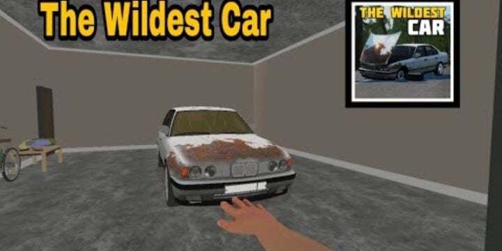 The Wildest Car