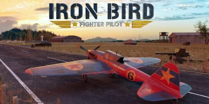 Fighter Pilot Iron Bird