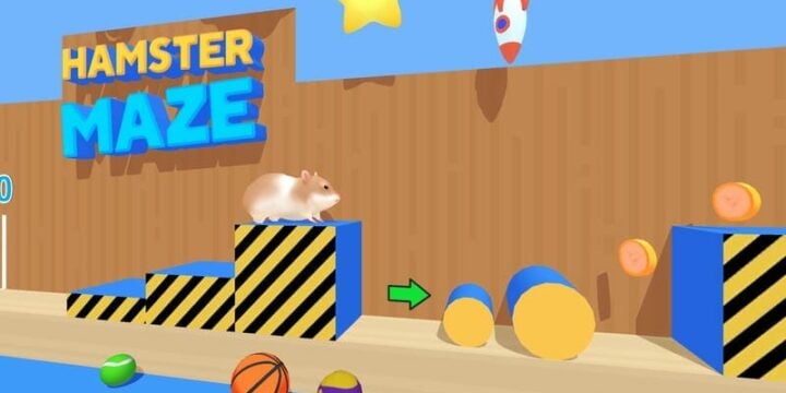 Hamster Maze