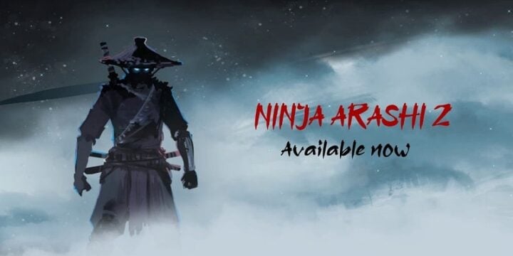 Ninja Arashi 2