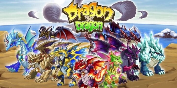 DragonxDragon