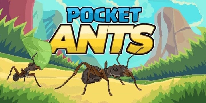 Pocket Ants