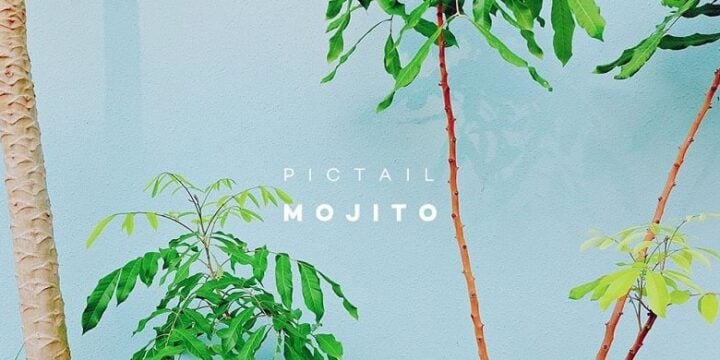 PICTAIL - Mojito