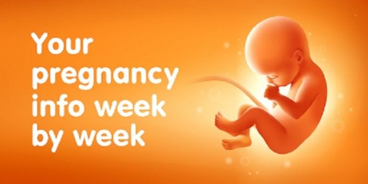 Pregnancy Tracker Week by Week