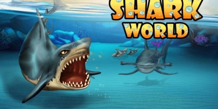 Shark World