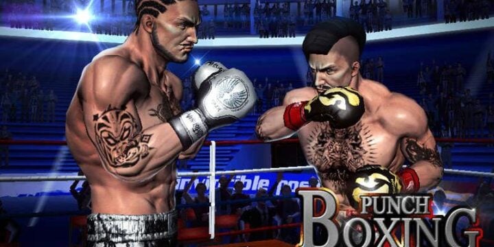 Punch Boxing 3D