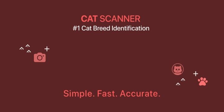 Cat Scanner