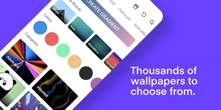 WallsPy