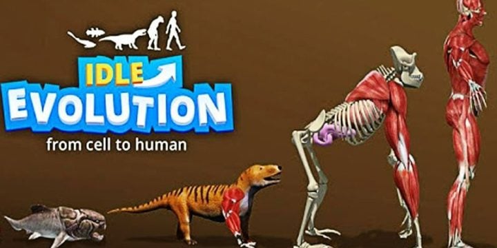 Idle Evolution