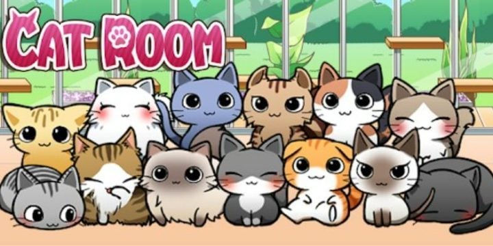 Cat Room