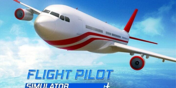 Flight Pilot Simulator 3D