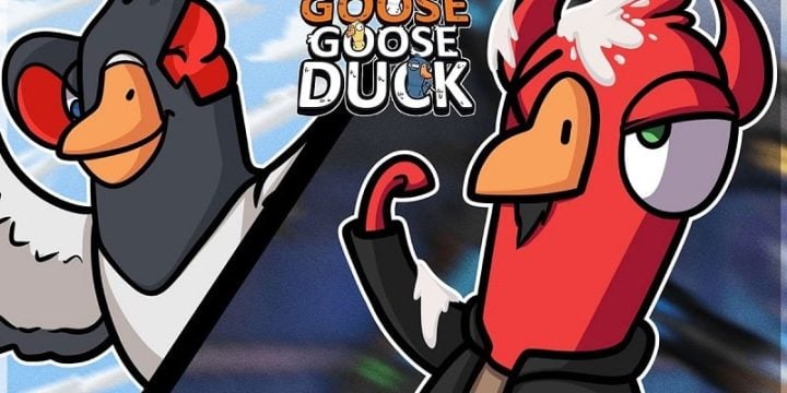 Goose Goose Duck